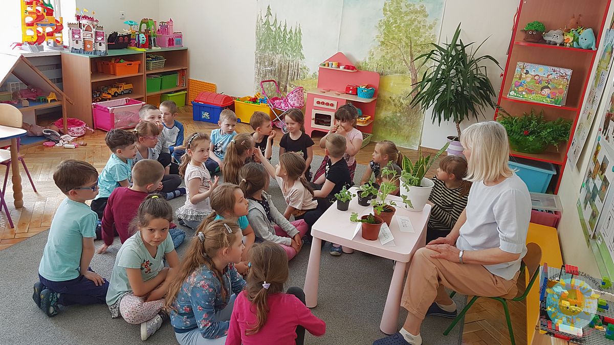 Dzieci siedzą na dywanie, przed nimi jest stół roślinami doniczkowymi - Przedszkole Samorządowe Nr 2 Pod Słonkiem w Białymstoku