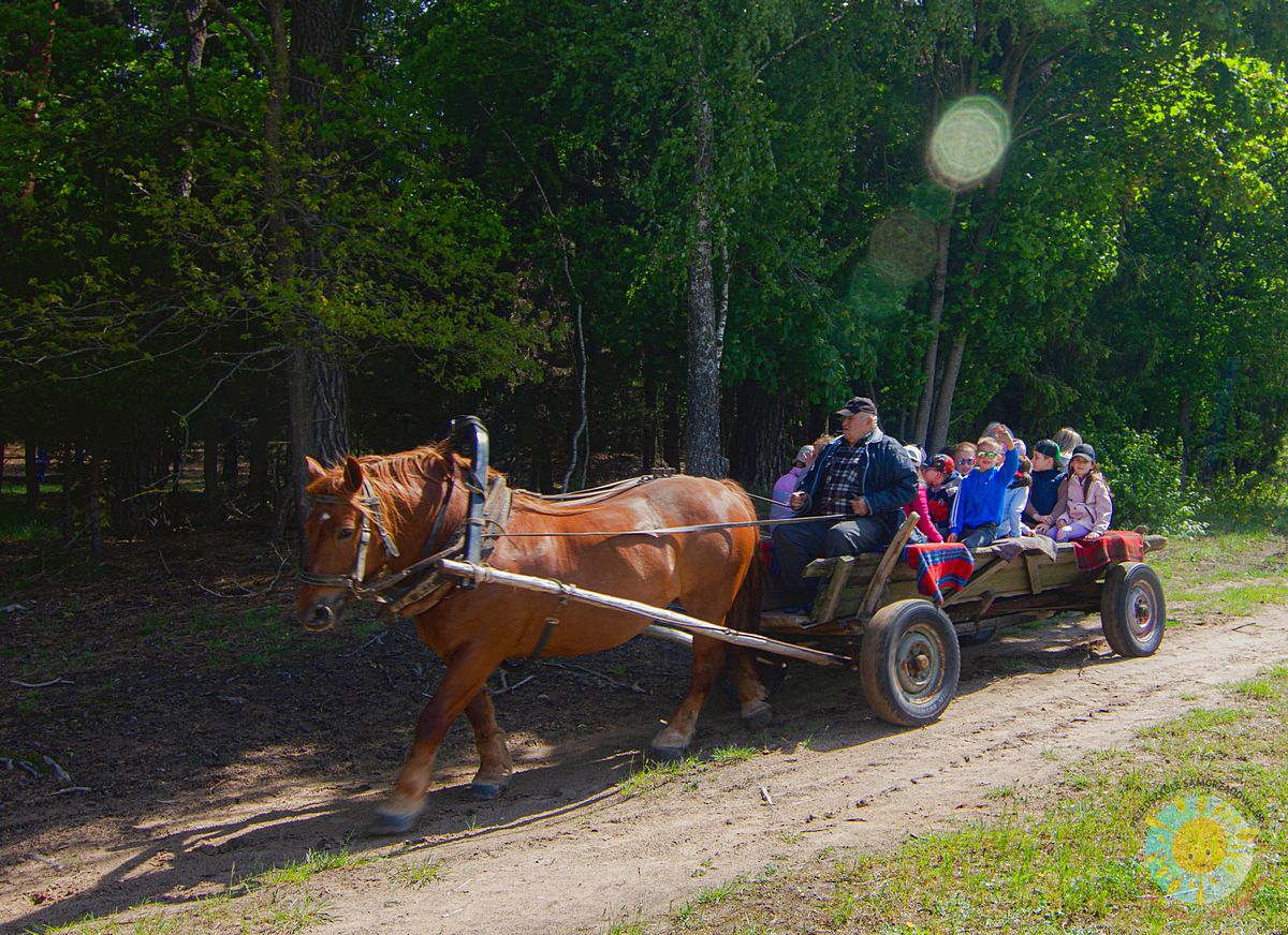 Grupka dzieci jadąca na furze ciągnącej przez konia - Przedszkole Samorządowe Nr 2 Pod Słonkiem w Białymstoku