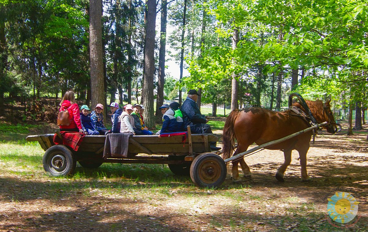 Grupka dzieci jadąca na furze ciągnącej przez konia - Przedszkole Samorządowe Nr 2 Pod Słonkiem w Białymstoku