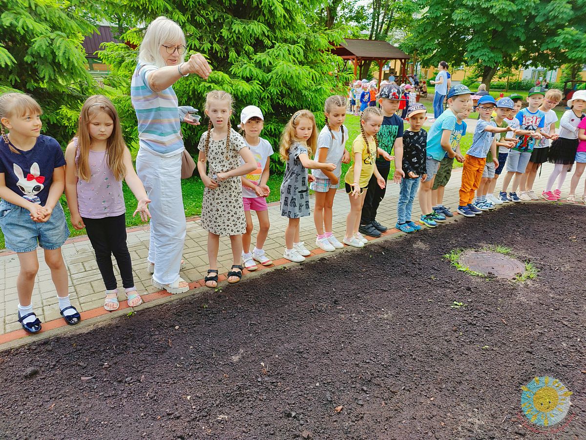 Dzieci sieją kwiaty na wcześniej przygotowanej ziemi - Przedszkole Samorządowe Nr 2 Pod Słonkiem w Białymstoku