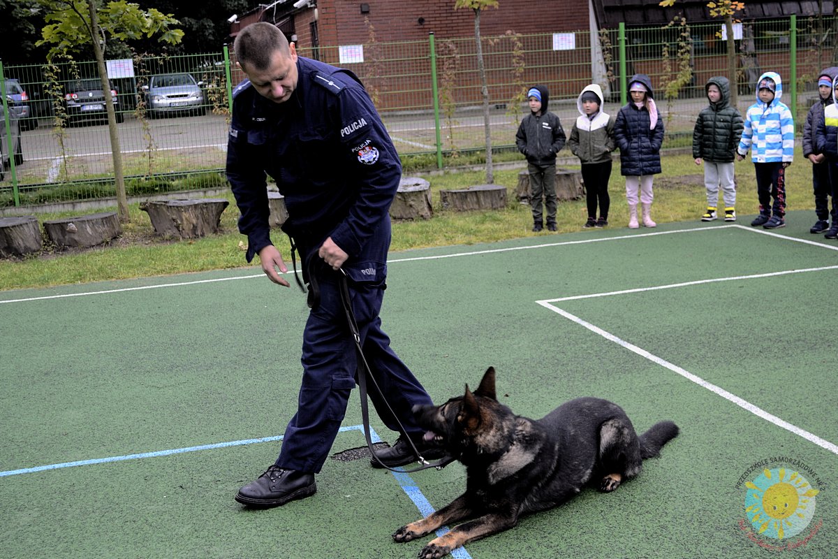 Policyjny pies i policjant - Przedszkole Samorządowe Nr 2 Pod Słonkiem w Białymstoku