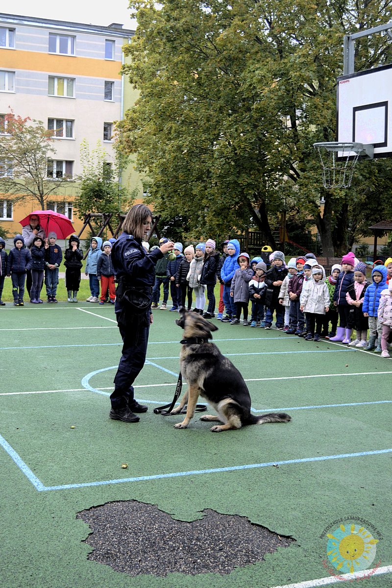 Dzieci obserwują policyjnego psa i policjanta - Przedszkole Samorządowe Nr 2 Pod Słonkiem w Białymstoku