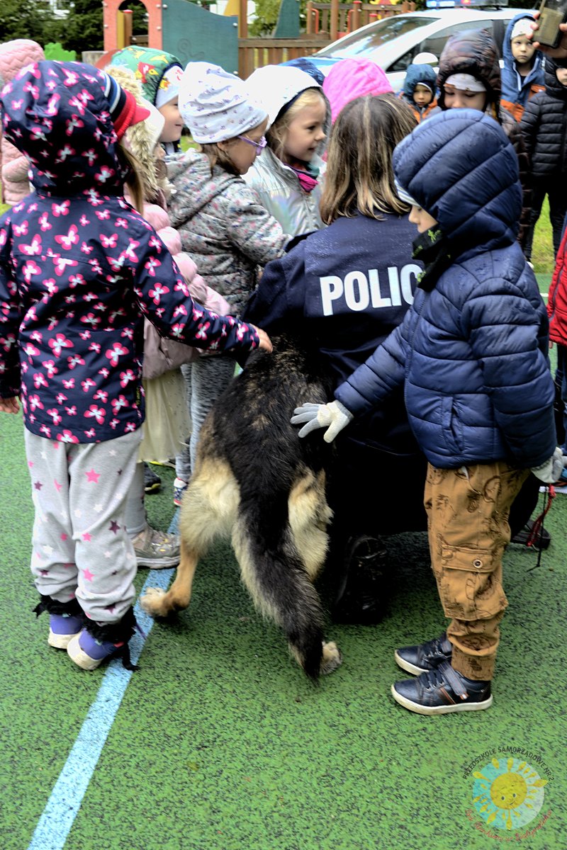 Dzieci głaszczą policyjnego psa - Przedszkole Samorządowe Nr 2 Pod Słonkiem w Białymstoku