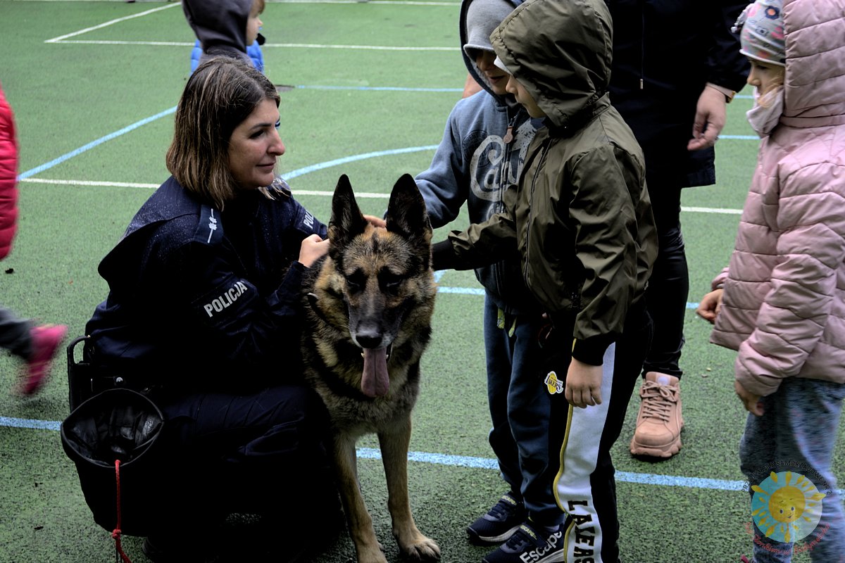 Dzieci głaszczą policyjnego psa - Przedszkole Samorządowe Nr 2 Pod Słonkiem w Białymstoku