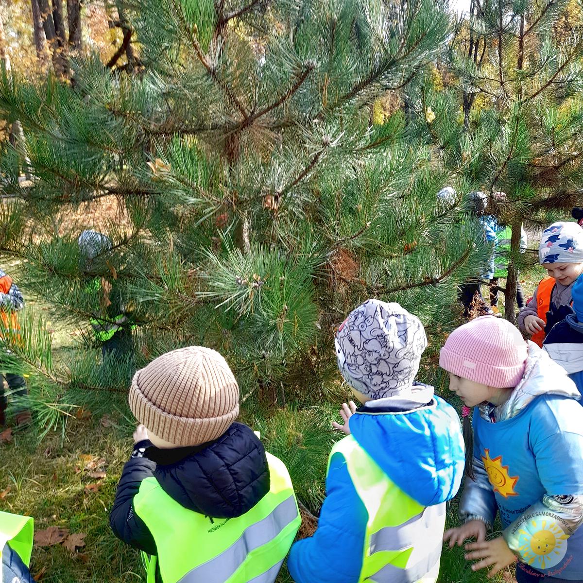 Dzieci przytulają drzewo - Przedszkole Samorządowe Nr 2 Pod Słonkiem w Białymstoku