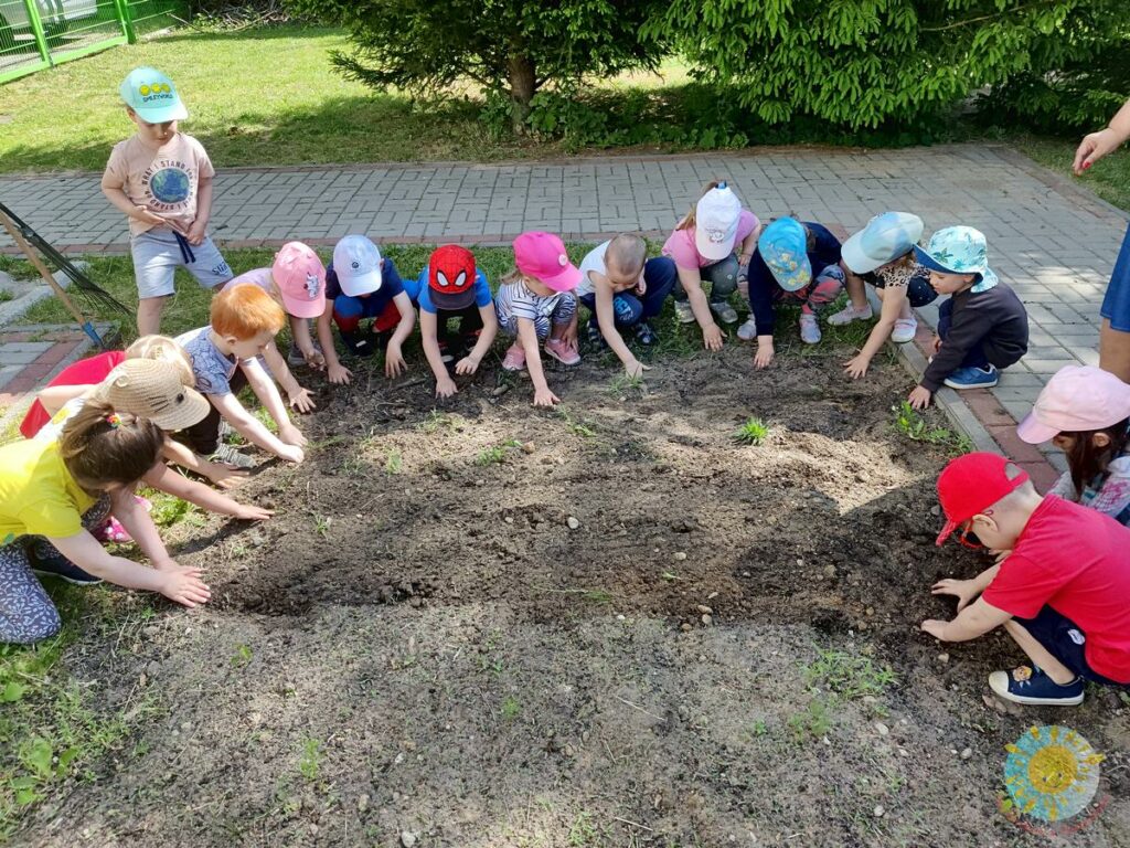 Dzieci sadzą ziarna kwiatów - Przedszkole Samorządowe Nr 2 Pod Słonkiem w Białymstoku