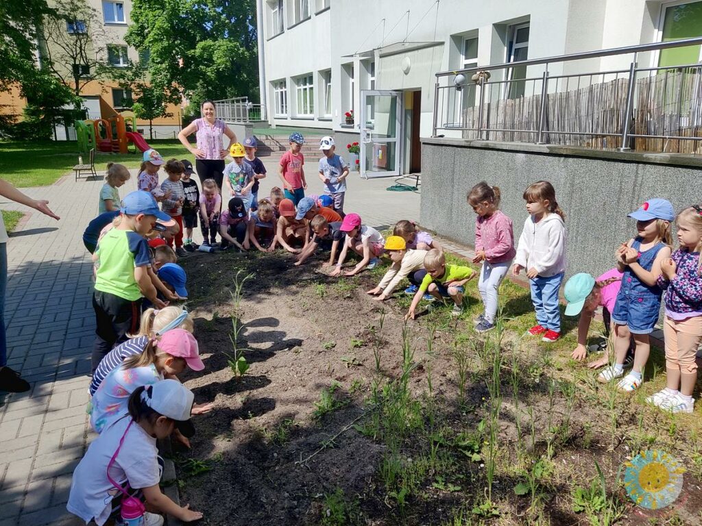 Dzieci sadzą ziarna kwiatów - Przedszkole Samorządowe Nr 2 Pod Słonkiem w Białymstoku