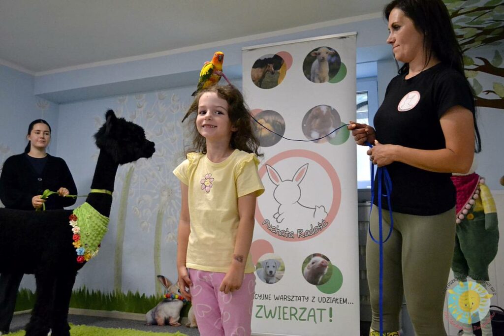 Siedząca papuga na głowie dziecka - Przedszkole Samorządowe Nr 2 Pod Słonkiem w Białymstoku