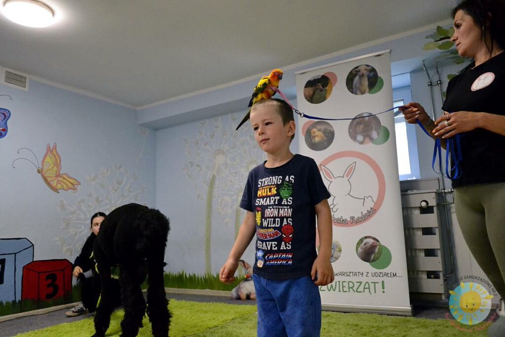 Siedząca papuga na głowie dziecka - Przedszkole Samorządowe Nr 2 Pod Słonkiem w Białymstoku