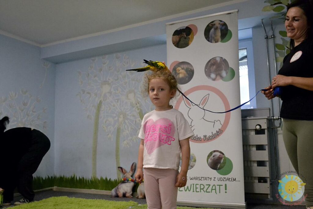 Siedząca papuga na głowie dziecka - Przedszkole Samorządowe Nr 2 Pod Słonkiem w Białymstoku