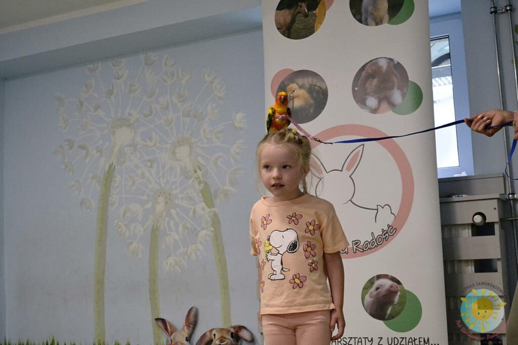 Siedząca papuga na głowie dziecka - Przedszkole Samorządowe Nr 2 Pod Słonkiem w Białymstoku