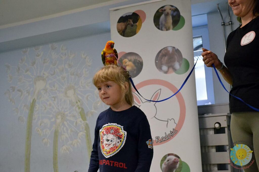 Siedząca papuga na głowie dziecka - Przedszkole Samorządowe Nr 2 Pod Słonkiem w Białymstoku