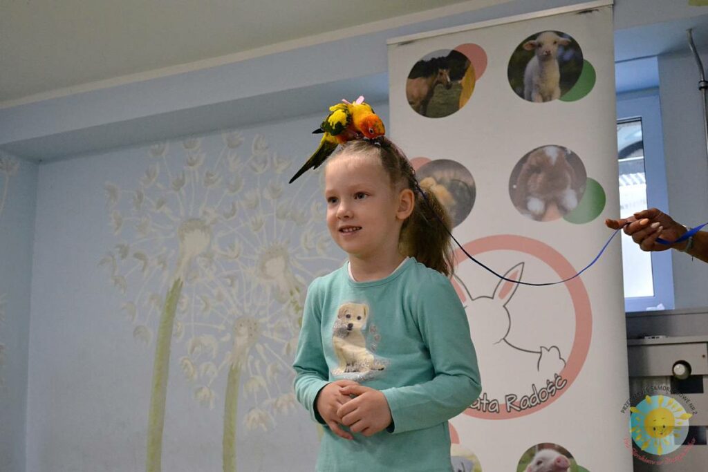 Siedząca papuga na głowie dziecka - Przedszkole Samorządowe Nr 2 Pod Słonkiem w Białymstoku