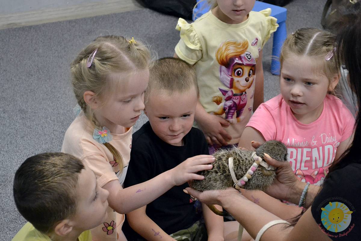 Egzotyczni Goście w Przedszkolu – Grupa Żółta 🦜🦙🦫
