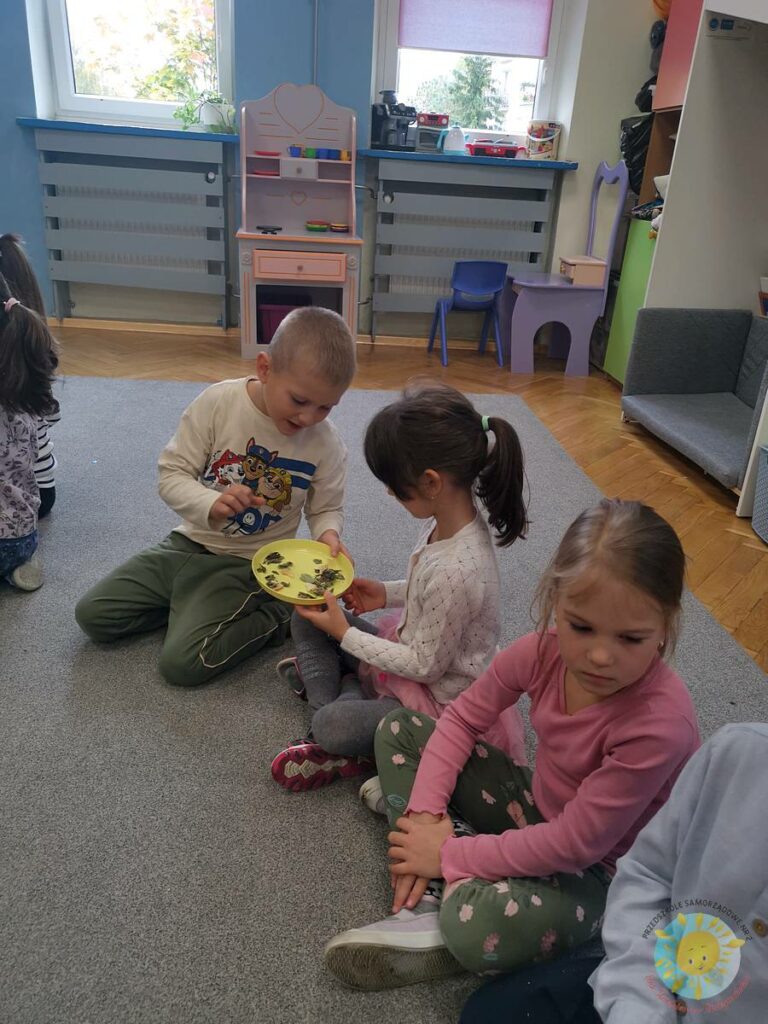 BOF - język i kultura – cel rozwijanie umiejętności komunikacyjnych, odkrywanie bogactwa języka oraz poznawanie kultury regionu i świata.