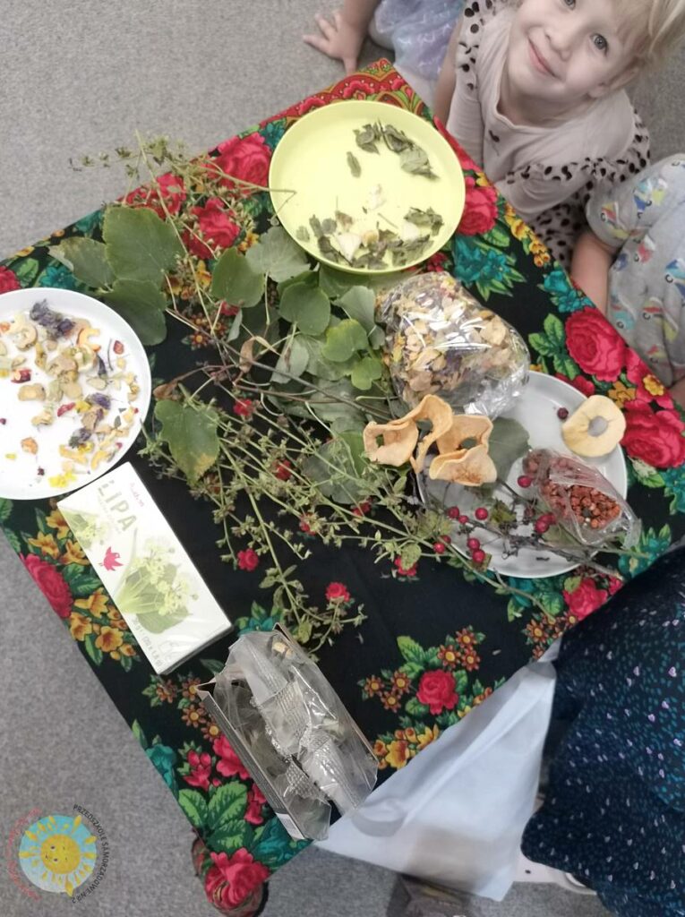 BOF - język i kultura – cel rozwijanie umiejętności komunikacyjnych, odkrywanie bogactwa języka oraz poznawanie kultury regionu i świata.