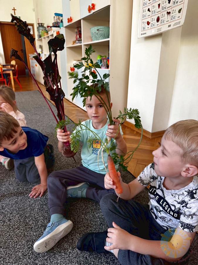 Dzieci siedzące na dywanie w sali przedszkolnej trzymają świeżo wyrwane warzywa korzeniowe z nacią: buraka oraz marchewkę.