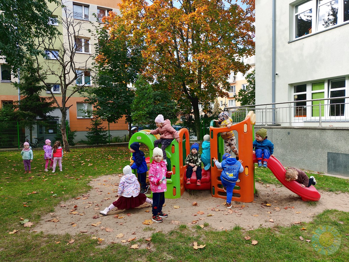 Tydzień pełen odkryć – Grupa Żółta 💛🍂 Tydzień pełen odkryć – Grupa Żółta 💛🍂